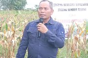 DP2KP Papua Selatan minta nelayan tidak tangkap ikan di perairan PNG