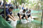Pemkab Malinau salurkan bantuan pacu kemandirian budidaya perikanan