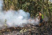 BPBD Banyumas perkuat kesiapsiagaan hadapi karhutla saat kekeringan