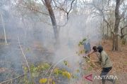 Karhutla awal September di TN Tambora berdampak sekitar 834 hektare