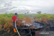 BPBD:  Kebakaran lahan di Aceh Barat meluas jadi 11,5 Hektare