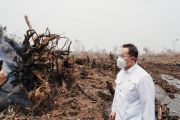 Wamen LH dukung praktik baik kolaborasi tangani karhutla di Jambi