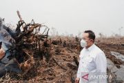 Sekitar 50 perusahaan disegel KLH usai wilayah kerjanya alami karhutla