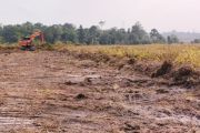 APHI dukung Inpres larangan pembukaan lahan dengan cara membakar
