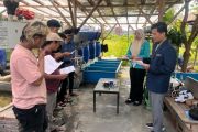 Tim UMS terapkan IoT pantau kualitas air pembibitan ikan nila di Sukoharjo