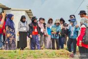 BPPMT Pekanbaru ajak transmigran perempuan jadi penggerak ketahanan pangan