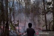 Dishut: Dedikasi Manggala Agni dan MPA redam karhutla  di Kutai Barat