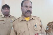 Pemprov Papua Pegunungan perkuat hortikultura topang ketahanan pangan