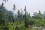Kabut asap mulai terlihat di sejumlah wilayah Madina