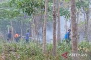 BPBD Muara Enim lanjutkan pemadaman karhutla di Desa Suka Maju