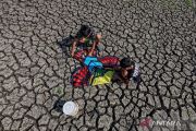 Waduk Sumberkepuh mengering, sekitar 400 hektare lahan pertanian kekurangan air di Nganjuk