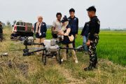 Kementrans: "Drone" pangkas biaya semprot petani Merauke 90 persen