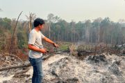 Ditreskrimsus Polda Kaltara selidiki dugaan tindak pidana Karhutla