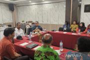 Komoditas gambir beri nilai tambah ekonomi bagi Papua Selatan
