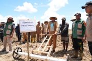 Pemprov Papua targetkan produksi padi CSR di Senggi capai 10 ton per hektare