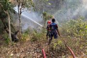 BPBD tangani karhutla seluas 19 Hektare di Kabupaten Sigi