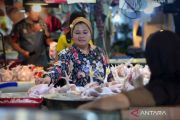 BPS: Cabai rawit dan ayam ras penyumbang kenaikan IPH awal September