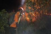 BPBD laporkan 427 hektare terdampak kebakaran hutan-lahan Poso