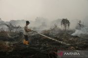 Akademisi UPR sebut tata air jadi kunci cegah kebakaran lahan gambut