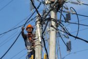PLN Suluttenggo percepat pemulihan pasokan listrik Sulawesi Tengah