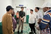Pemprov sebut potensi gurita Papua diminati investor Jepang
