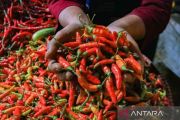 PIHPS catat harga cabai rawit Rp94.900/kg, telur ayam Rp31.000/kg