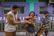 Upaya pencegahan kasus rabies di Yogyakarta