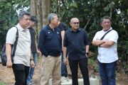 Semen Baturaja pasok material pembangunan pagar konservasi gajah Way Kambas sepanjang 138 Km