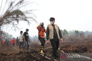 Burned forest area in West Kalimantan decline to 200 hectares