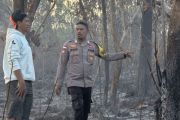 Polres Tanimbar berhasil padamkan titik api kebakaran hutan