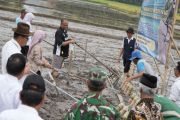 Sleman terapkan metode PM AAS untuk jaga ketahanan pahan