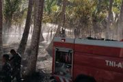 Tim gabungan berhasil padamkan kebakaran hutan dan lahan di Parigi Moutong