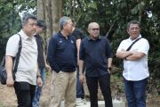 SMBR penuhi kebutuhan semen untuk pembangunan "barrier" Way Kambas