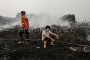 C Kalimantan continues strict wildfire monitoring as hotspots decline