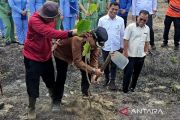 Pemkab Natuna bersama Kodim 0318 tanam 1.000 bibit pohon kemiri