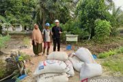 Apical dukung produktivitas peternak binaan di Dumai melalui pemanfaatan bungkil inti sawit