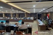 Raperda APBD-P 2026, DKI ajukan Rp250 juta untuk kajian ikan sapu-sapu
