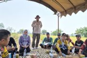 DKPPP Tabalong berikan bantuan pengembangan pertanian di Kecamatan Banua Lawas