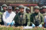 Pangkogabwilhan: Satgas Yonif 725/WRG temukan ladang ganja KKB di Kurima