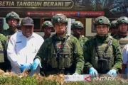 21.400 batang ganja ditemukan Satgas Yonif 725 di Yahukimo