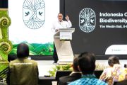 Indonesia's carbon market must drive real climate action: Minister