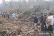 Firefighters extinguish 421 hectares of fires in six provinces