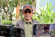 BNPB tangani 400 hektare karhutla di Kaltim didominasi lahan mineral