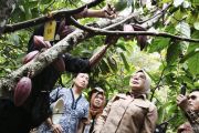 Komisi VII DPR RI mendorong hilirisasi kakao di Nglanggeran Gunungkidul