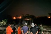 Fire burns 72 hectares in Meru Betiri National Park in East Java