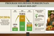 Pemerintah siapkan hilirisasi kakao dan peremajaan kebun petani