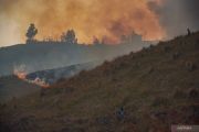 TNBTS tutup total aktivitas wisata Bromo guna percepat pemadaman