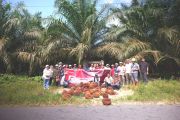 PT Dami Mas ajak lihat langsung proses pembibitan kelapa sawit