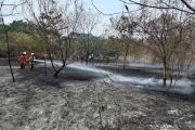 Gulkarmat: Cuaca panas picu kebakaran lahan di Jakarta Utara