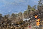 BPBD Malang pastikan kobaran api di Jemplang, Bromo telah padam